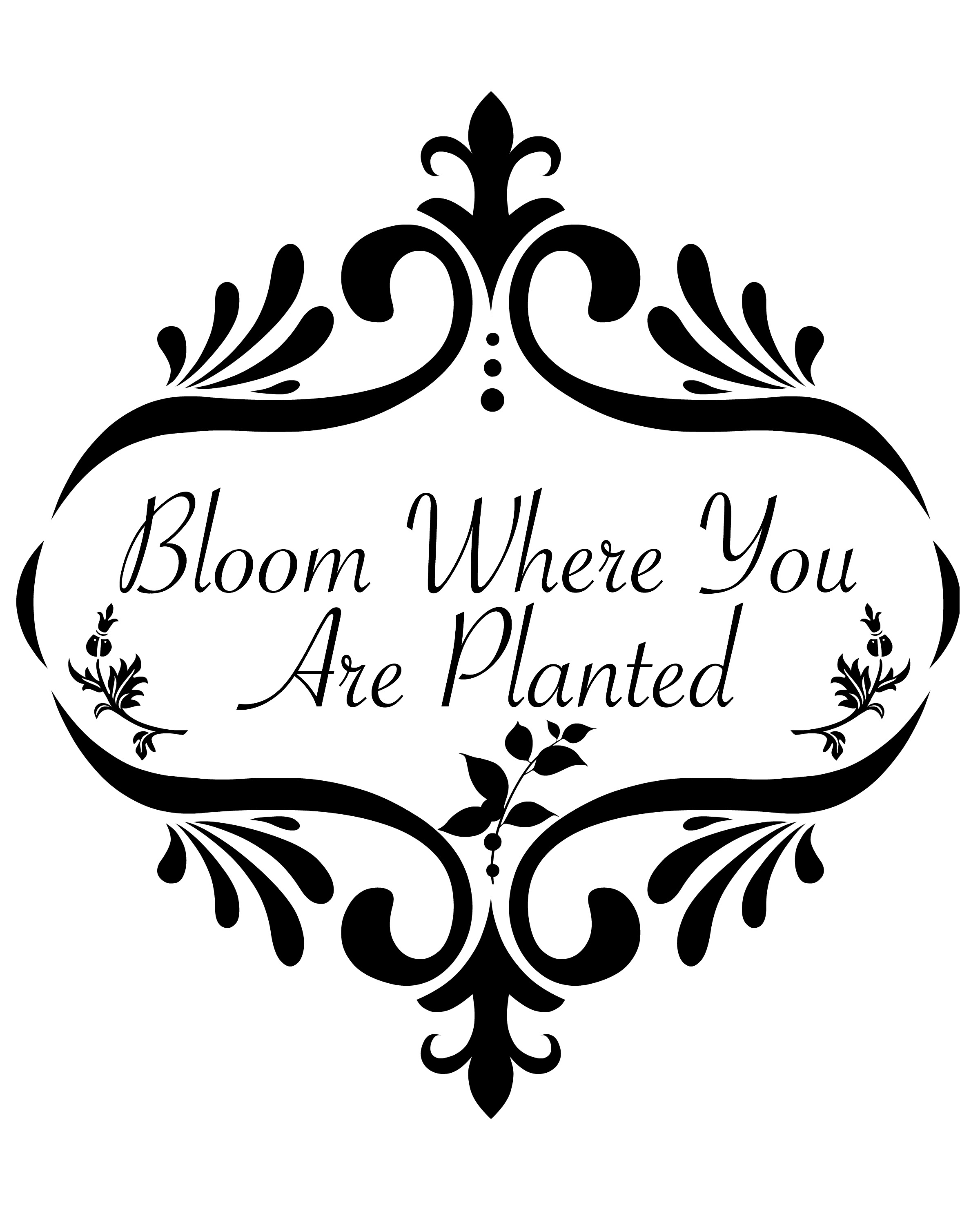 Bloom Where You Are Planted – Free Printable