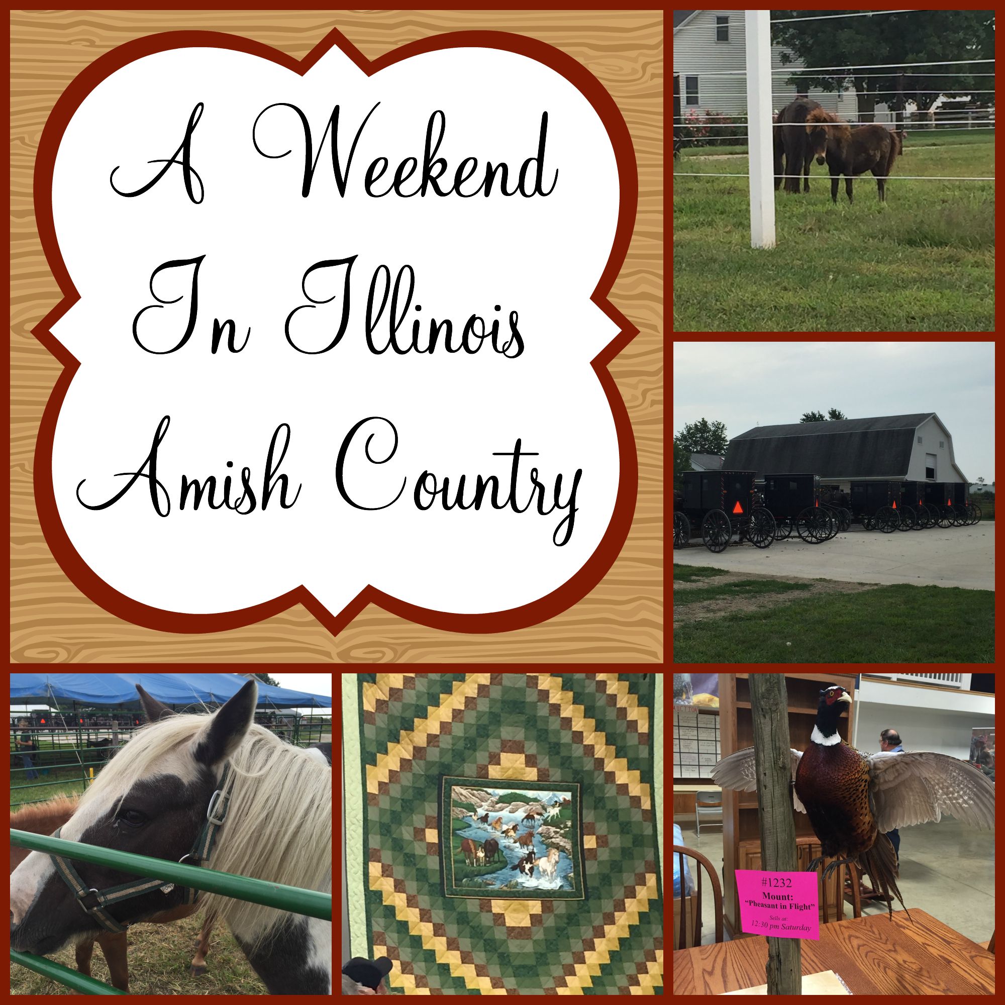 A Weekend in Illinois Amish Country