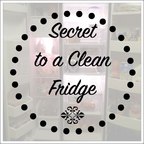 Secret to a Clean Fridge