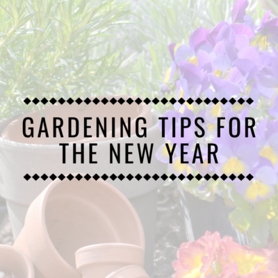 Gardening Tips for the New Year