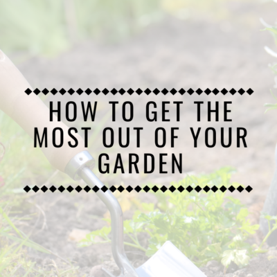 How To Get The Most Out Of Your Garden